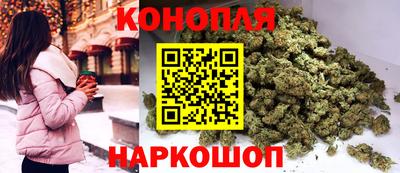 индика Можайск
