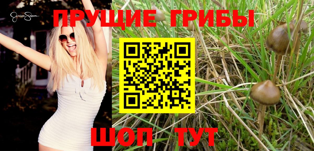 НБОМе  Гашиш  Вход с VPN  МЕТАМФЕТАМИН  ГАШИШ  МАРИХУАНА  Меф кристаллы  Тулун  МДМА 