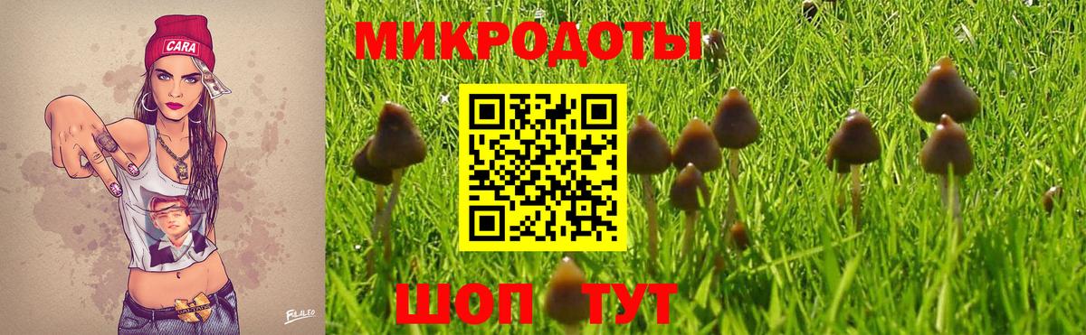 купить наркотики сайты  Вход с VPN  Тулун  Галлюциногенные грибы прущие грибы 
